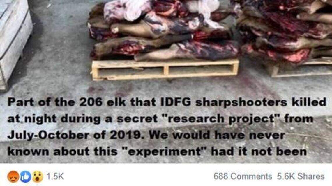 Viral post accused Idaho of elk slaughter. Fish and Game says study helps hunters