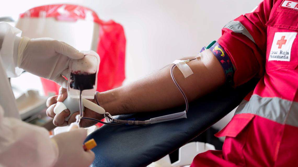 There are over 13,000 open blood donation appointments in WA state. Here’s how to donate