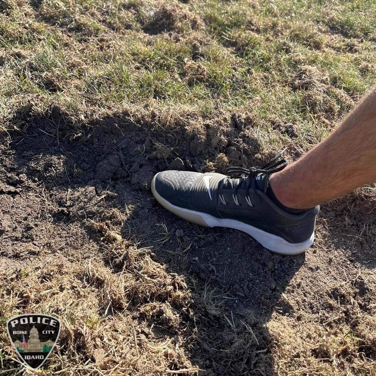 Damage to Capital High’s football field last fall included some deep tears and divots. The Eagles could not use their field for the rest of the season.