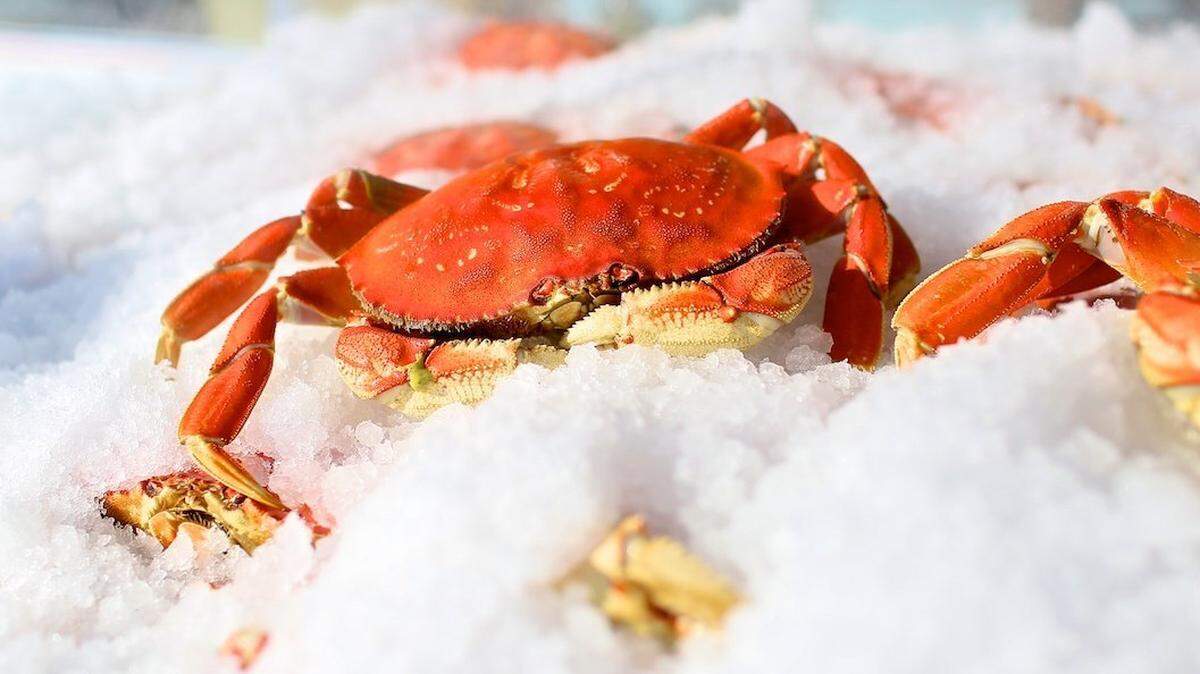 Reel Foods delicacies such as Dungeness crab are on the way.