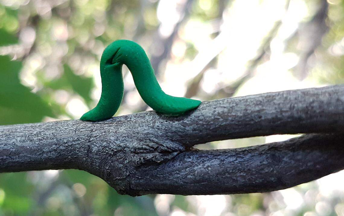 A green, clay caterpillar glued to a branch with a wedged indent in its middle.