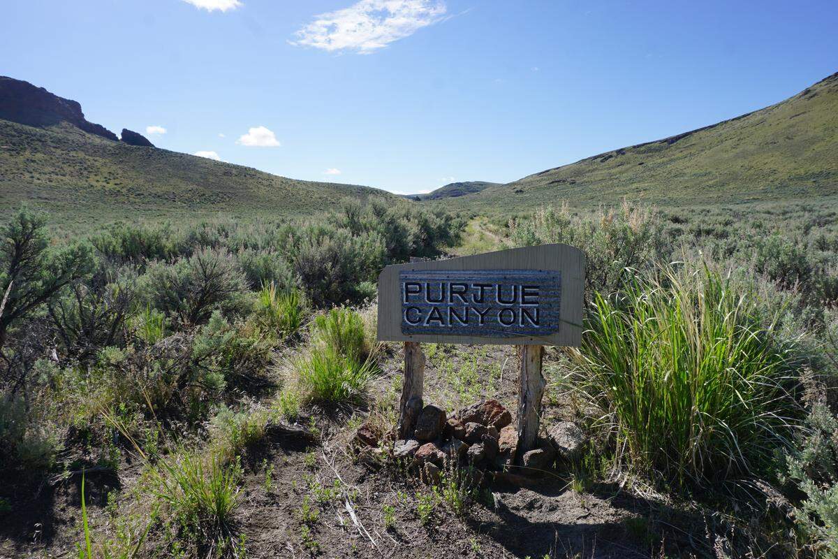 This sign marks the boundary of the Little Jacks Creek Wilderness. (The spelling is wrong: It should be Perjue Canyon.)