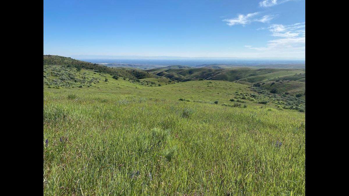 The Land Trust of the Treasure Valley is trying to raise $100,000 in just over one month to purchase this property, part of a 320-acre parcel near Avimor and Hidden Springs.