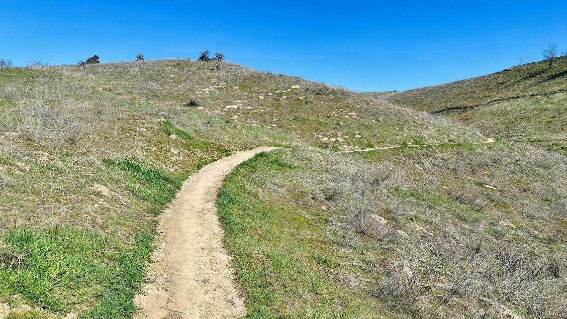 Boise City Council to ask voters for $11 million tax increase. Here’s why