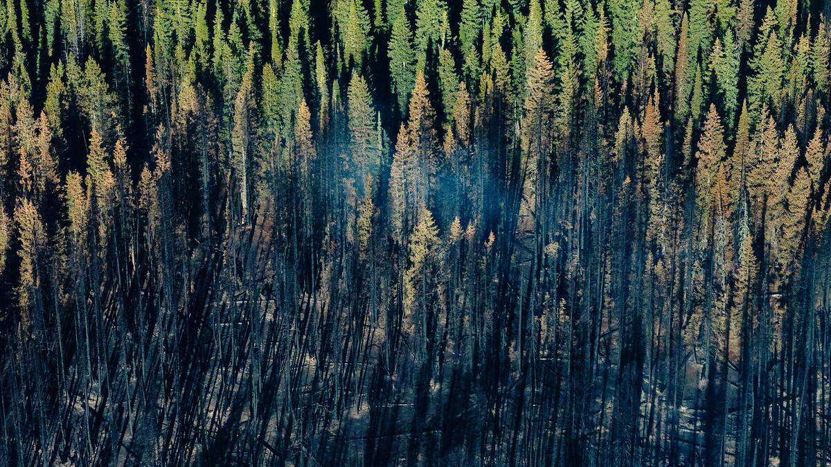 The Four Corners Fire burned west of Lake Cascade in the Payette and Boise National forests in 2022. It grew to 13,729 acres and forced people to evacuate in the wildland-urban interface.