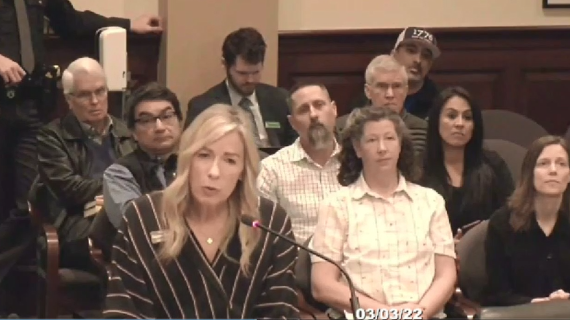 Rep. Gayann DeMordaunt, R-Eagle, presents HB 666 to the House State Affairs Committee.