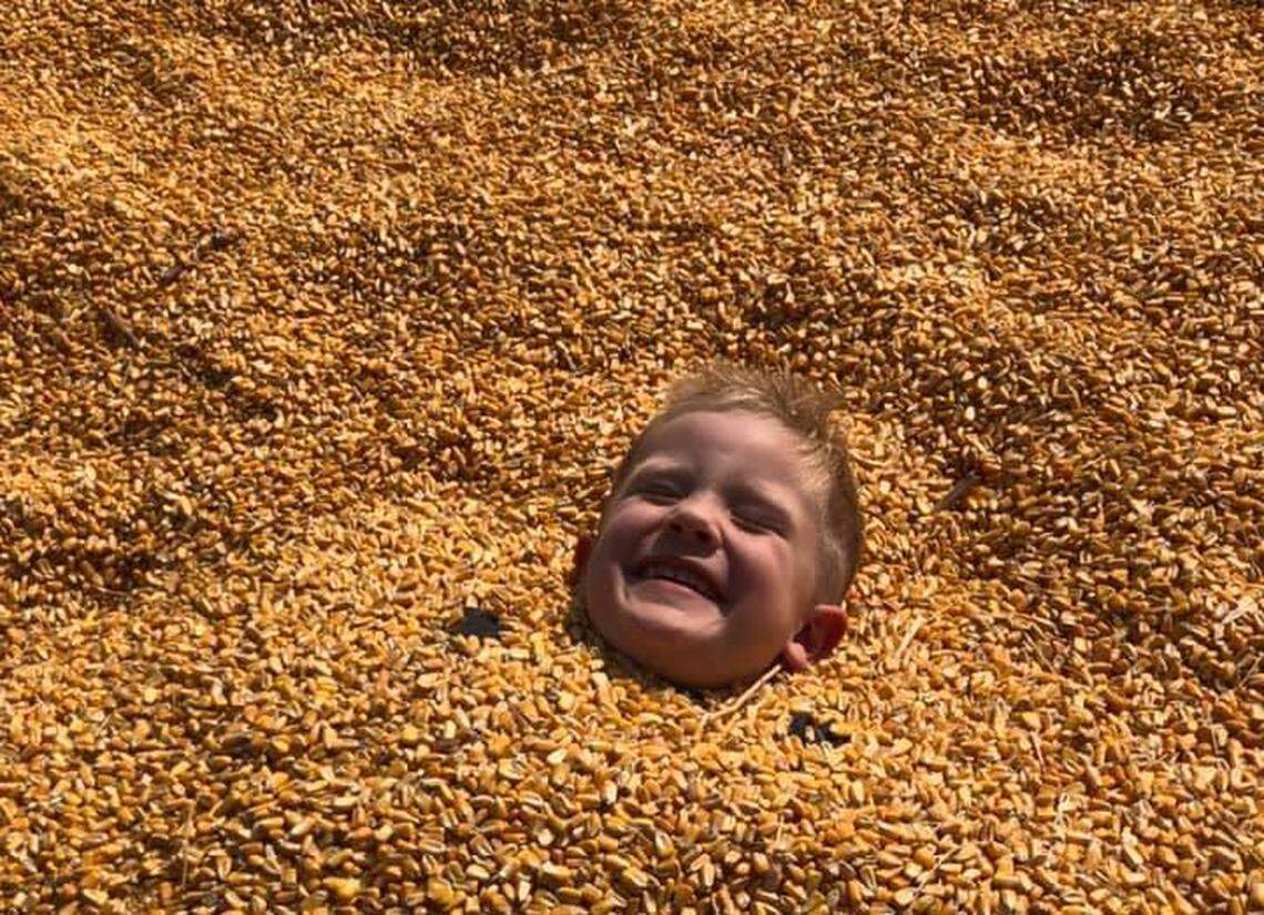 Children could jump into the corn and hay pits at Twin Oaks Farms.