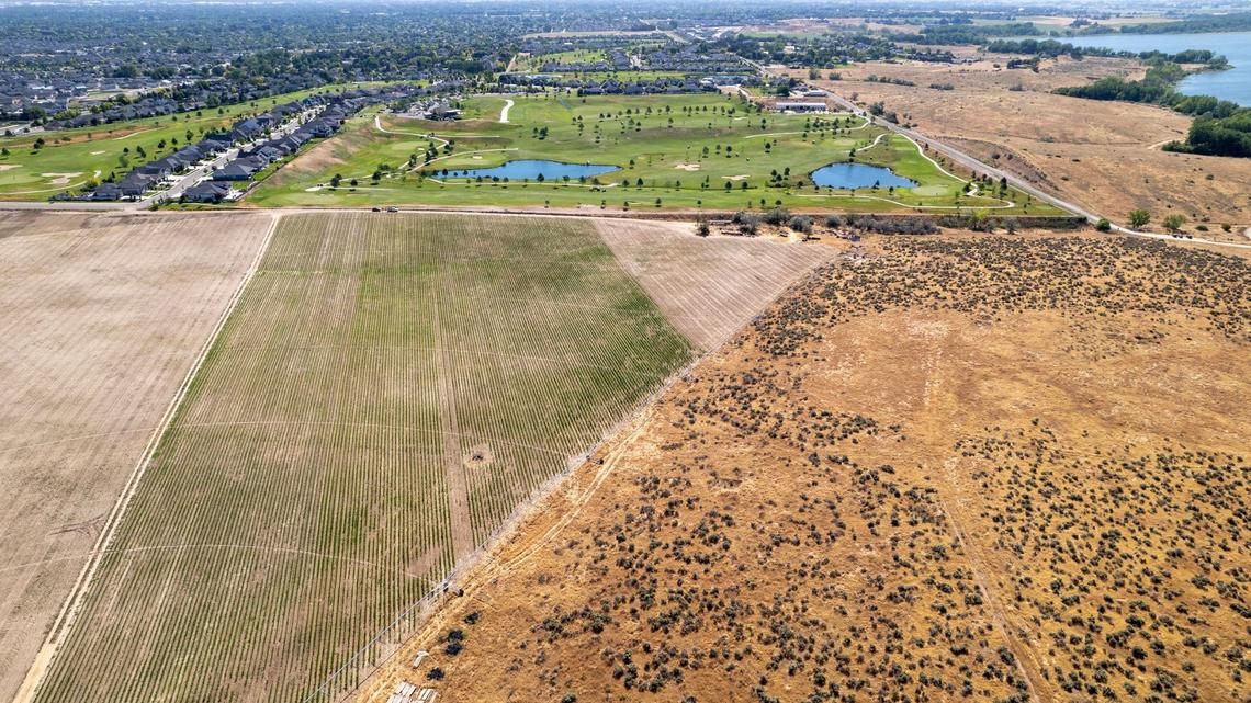 Wissel Farms’ taco-corn field, bottom left, is backed up against the RedHawk Golf Course, which used to be his family’s farmland. Wissel said taco corn is commonly used in tortillas and tamales. His brother, who owns a distillery, uses it ​to make bourbon.