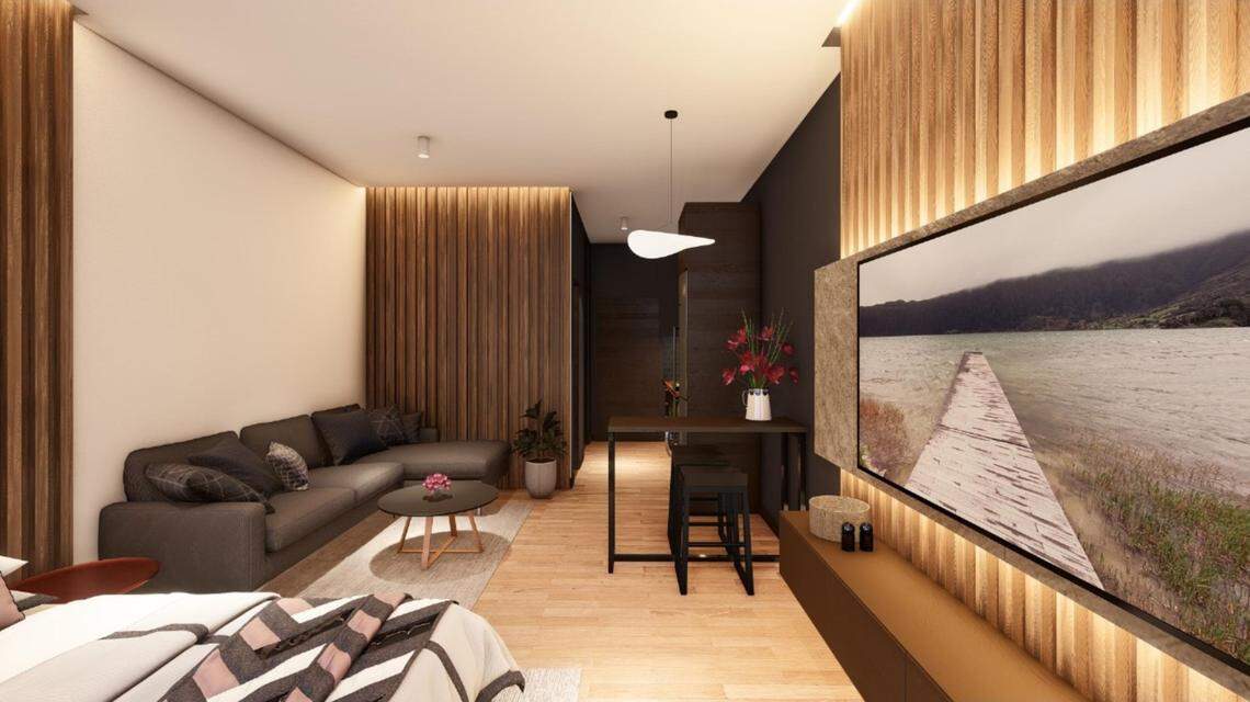 This rendering shows one of the potential studio units.