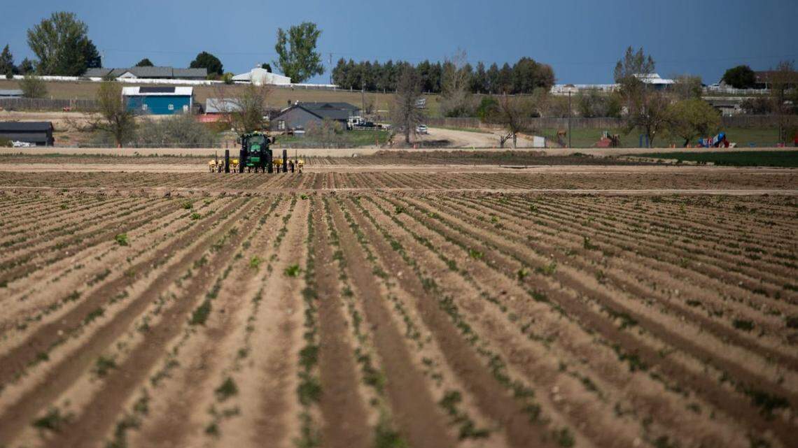 A tractor sits on an 87-acre parcel of land west of Caldwell this April. The Vallivue School District bought the property for $5 million from the family of a school board member. 