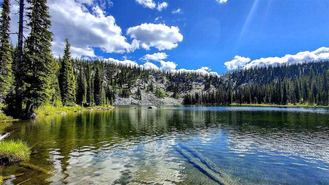 A close encounter of the wolf kind in Idaho’s Selway-Bitterroot Wilderness
