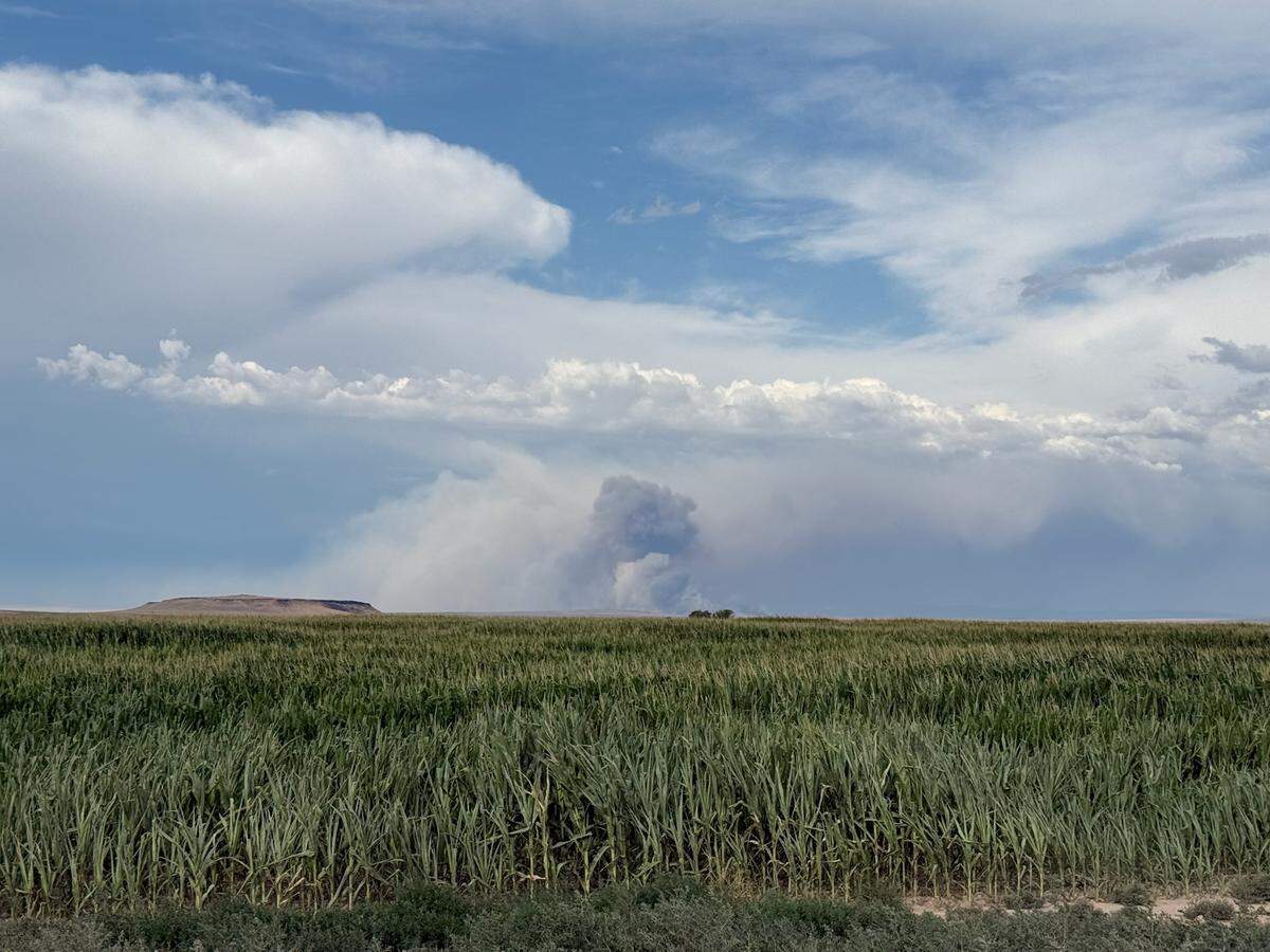 A wildfire named the Range Fire south of the Boise Airport started Thursday evening, setting off evacuation orders in South Boise.