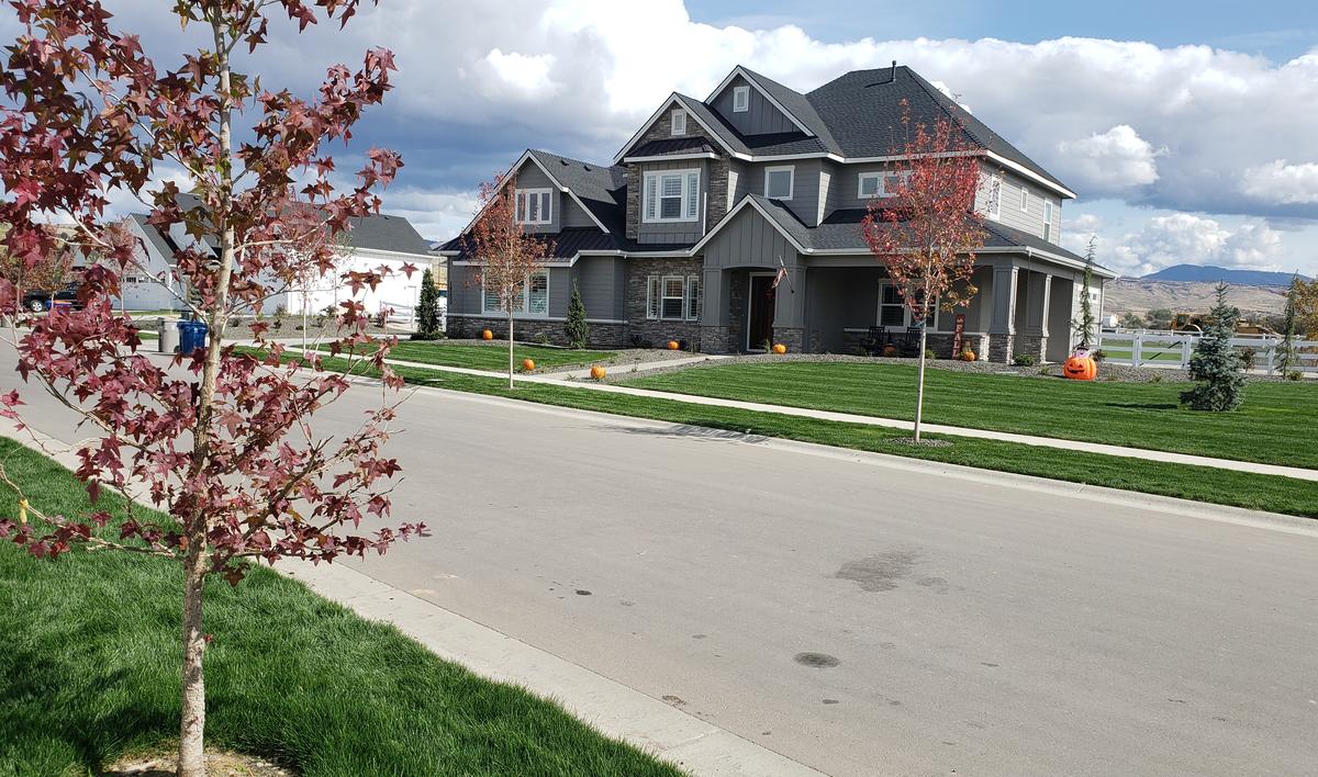 Homes in the Dry Creek Ranch development look out on the Boise Foothills.