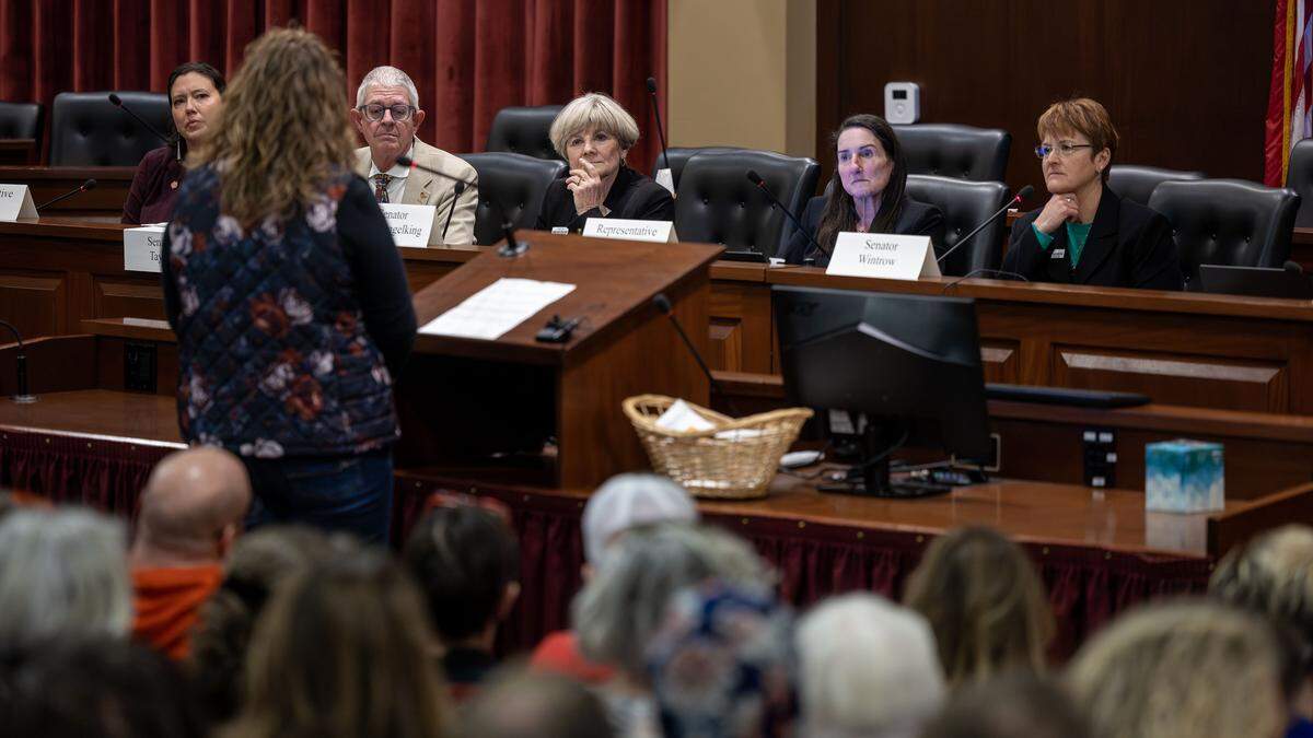 A group of Democratic lawmakers listen as parents, caretakers and service providers share their stories on the value of Medicaid. 