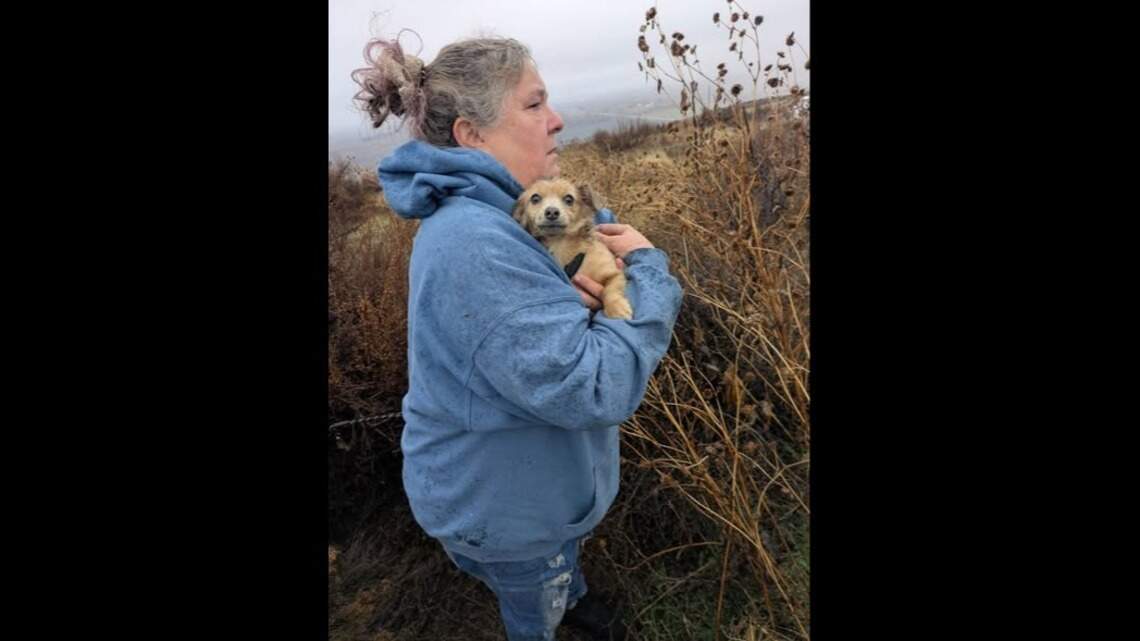 Idaho Humane Society offers reward for info on 5 puppies shot near Ontario