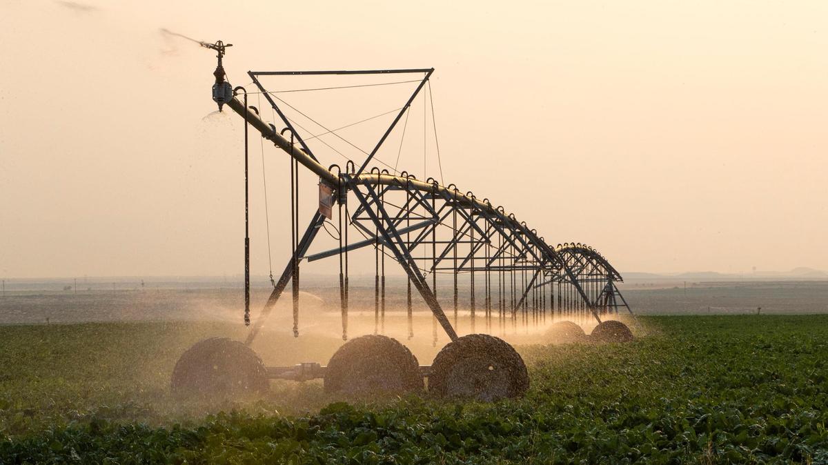 An irrigation pivot waters a crop of sugar beets in this file photo.