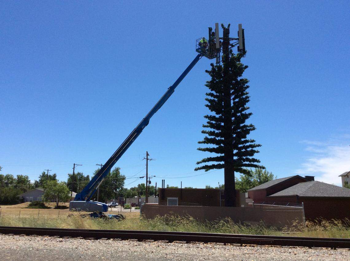 Cellular towers are unsightly, so sometimes they masquerade as trees. This installation occurred last June on Federal Way just west of its junction with Capitol Boulevard near the northern edge of the Boise Bench. (The tracks in the foreground belong to the Union Pacific Railroad; the Boise Depot is about a quarter mile to the west.)