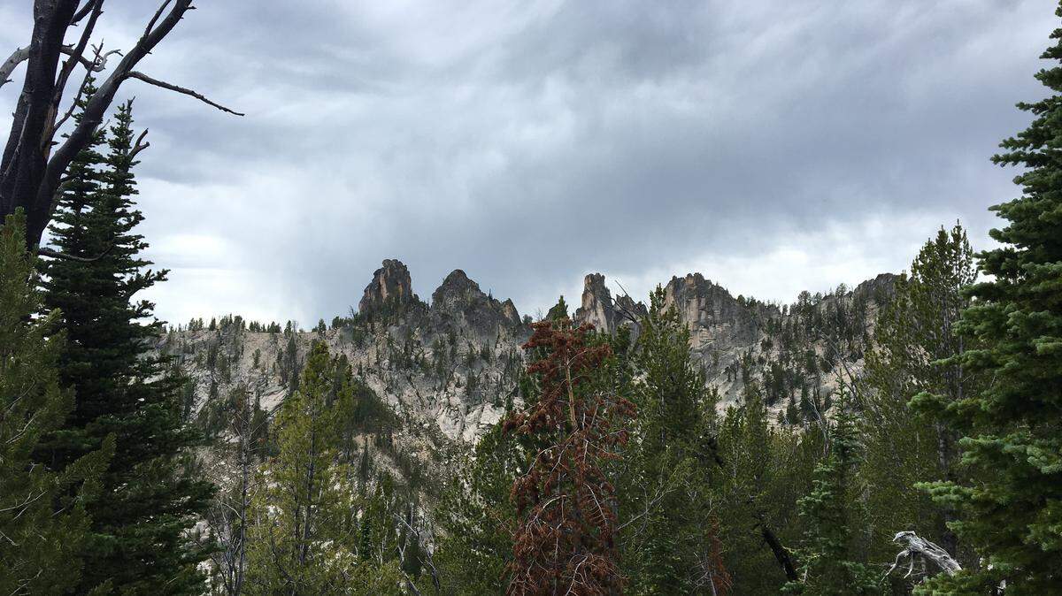 Two people were killed and another was injured during an airplane crash inside the Frank Church River of No Return Wilderness Area in Idaho.