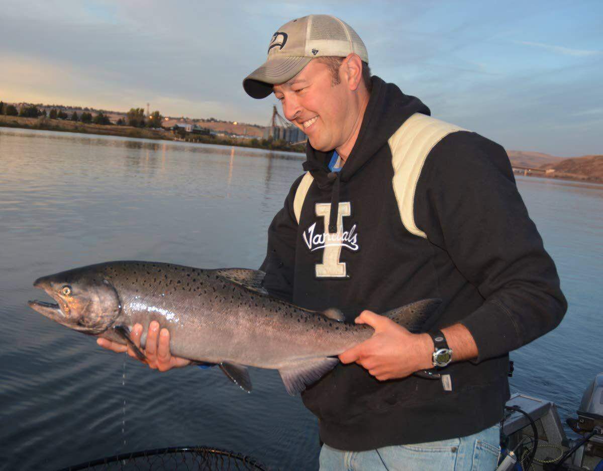 Stuart Rosenberger holds a fall chinook caught near the confluence of the Snake and Clearwater rivers in Idaho. A new report challenges past research that blames dams for decline of salmon runs in the Snake River Basin.