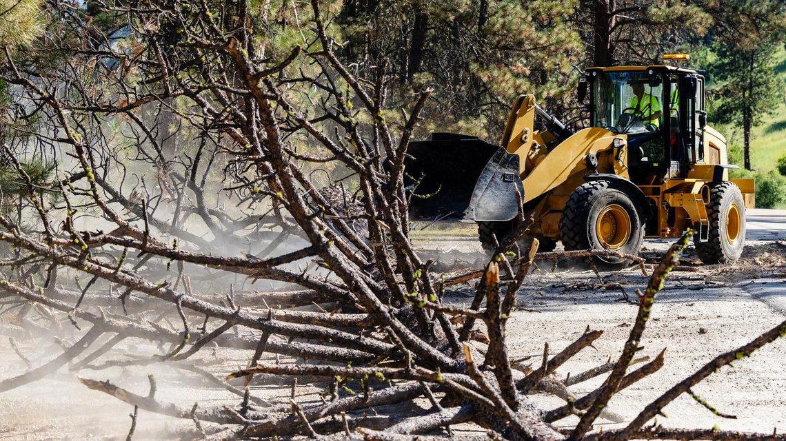 The Idaho Department and Transportation will begin tree maintenance and Hazard removal along Highway 55 in the next few months.