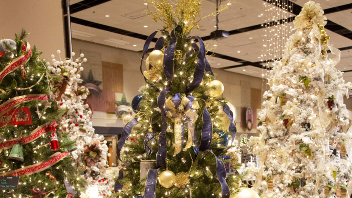 At Saint Al’s, Canyon festivals, see the trees and support women’s health, Meals on Wheels