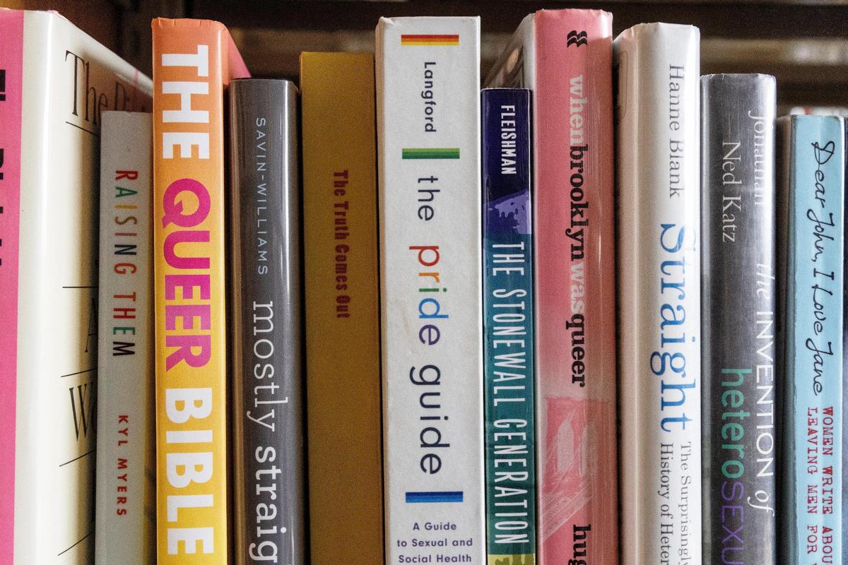 Books on topics such as sexual identity are common in libraries and bookstores, but some people object to minors having access to them.