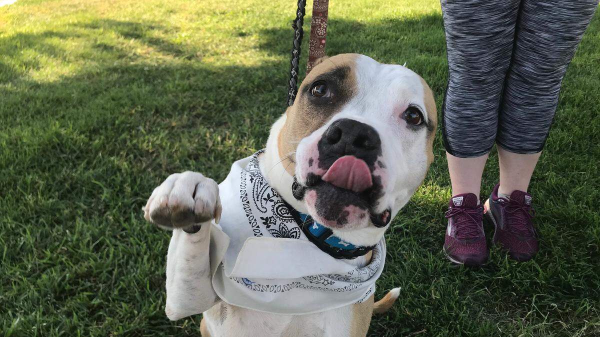 Kratos