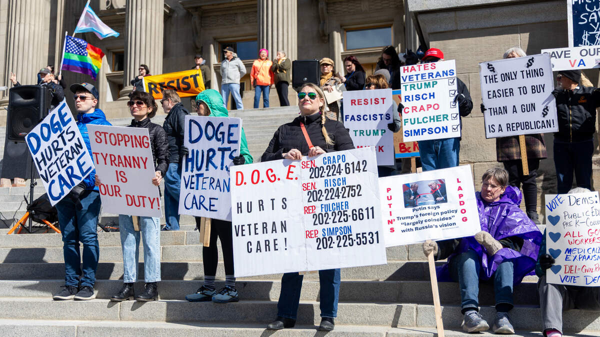 Protesters in Idaho gathered Saturday at the State Capitol in downtown Boise to rally against government officials, including Idaho's federal delegation and President Donald Trump.