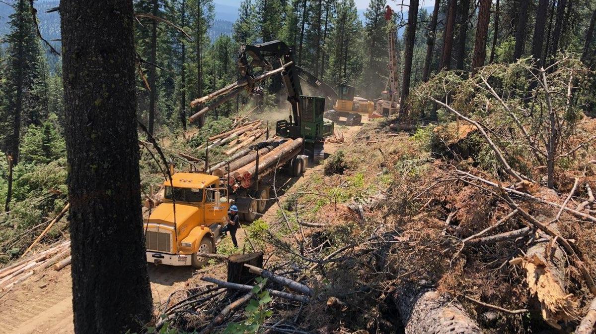 An Idaho logger died in July while performing tree harvesting work for Tom Mahon Logging, Inc. on the West Scriver Creek Stewardship Project in the Boise National Forest.