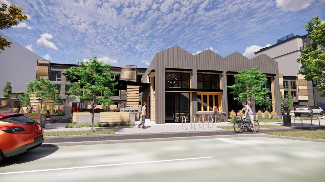 Nest Partners plan to “modernize” the former Safari Motor Inn.