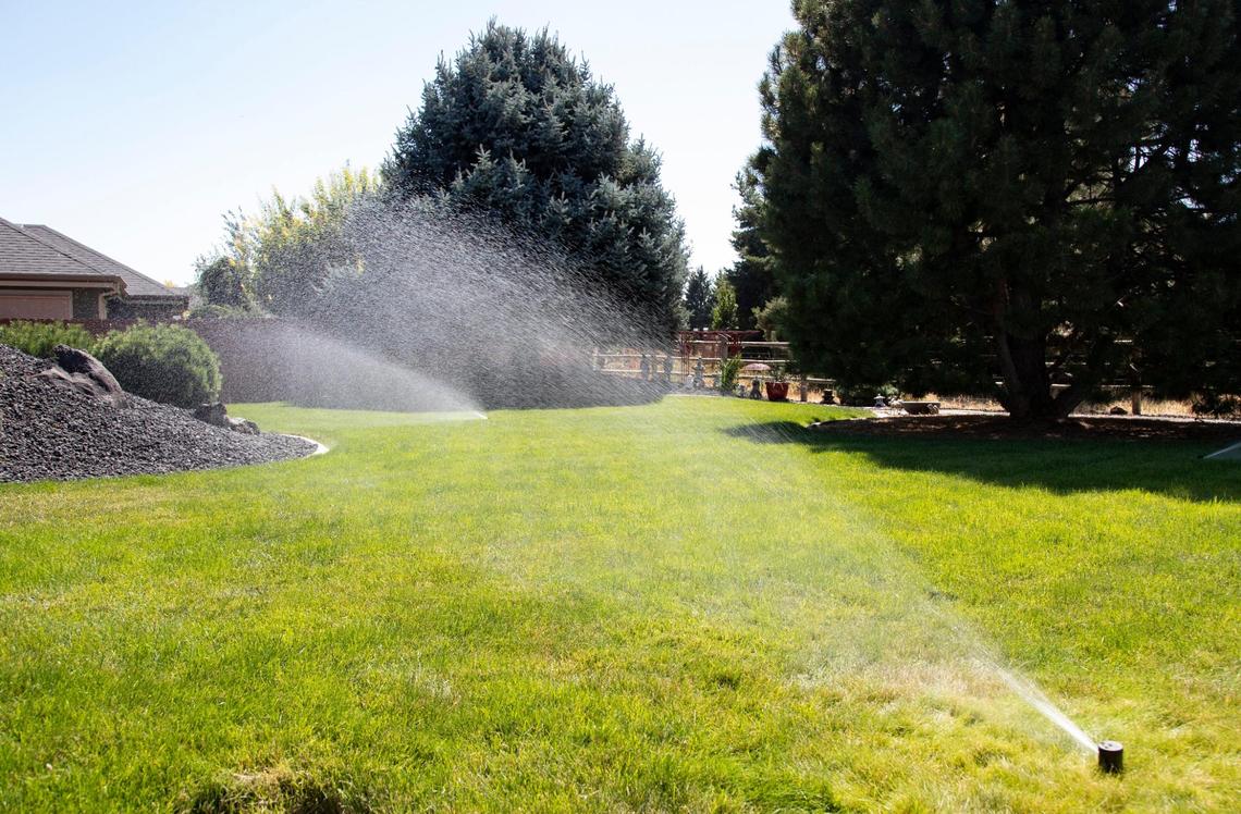 Smith waters his lawn on Friday, Aug. 27. As his subdivision’s HOA president, Smith takes it upon himself to try to educate residents about how they can take care of their lawns after irrigation is shut off.