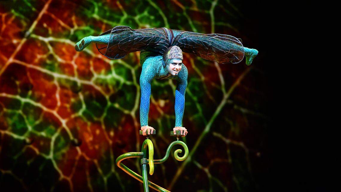 Cirque du Soleil “Ovo” has five scheduled performances at Dickies Arena from Sept. 22-25.