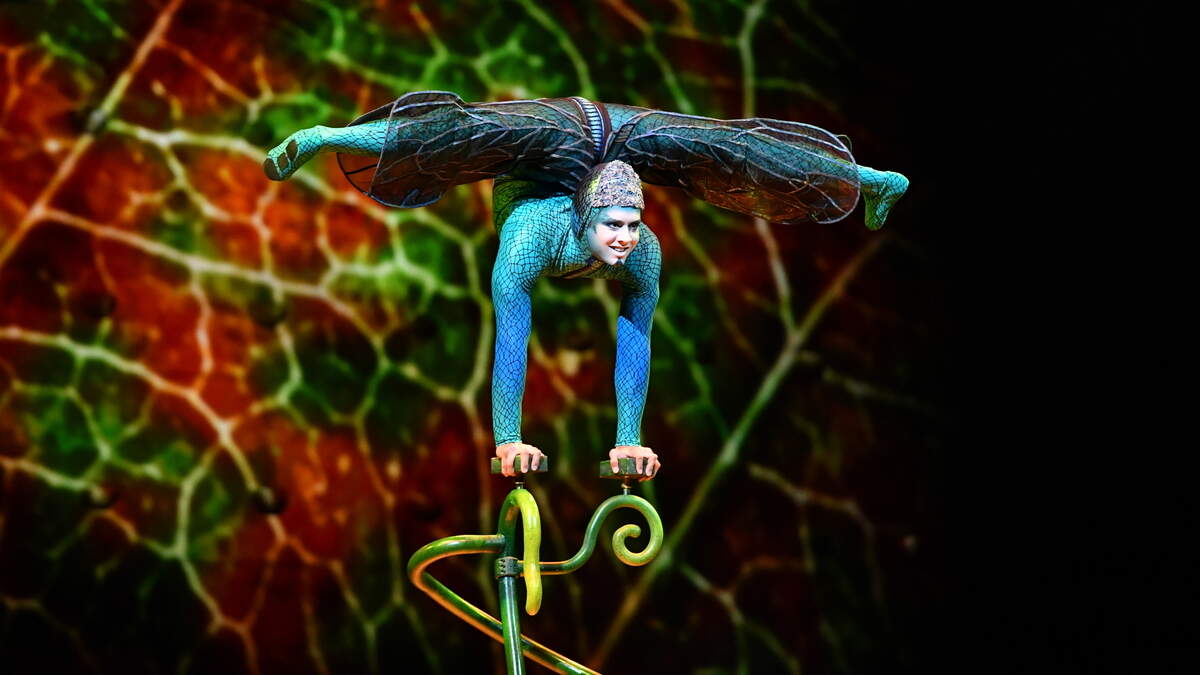 Cirque du Soleil “Ovo” has five scheduled performances at Dickies Arena from Sept. 22-25.