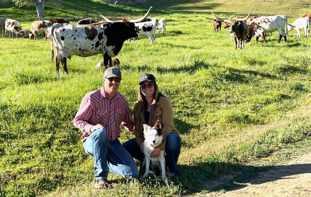 Neal and Andrea Siller pose with Skittles at their Texas longhorn cattle ranch in California. The Sillers purchased Skittles, who was trained by an Idaho man, at auction for $45,000.