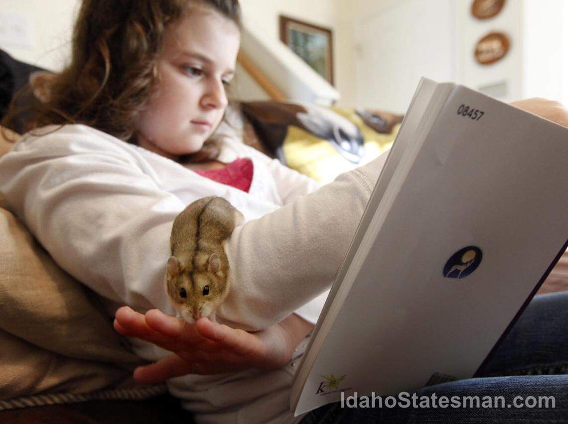 10do 1031 local virtual1