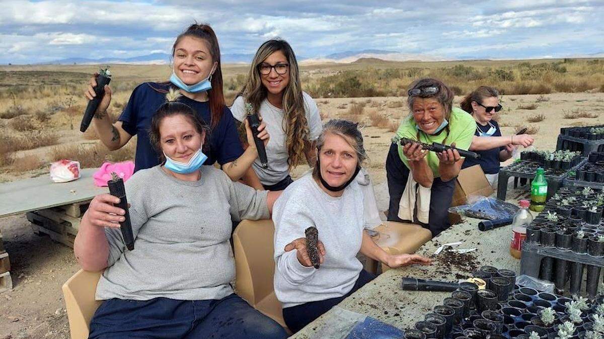 Women at the South Boise Women’s Correctional Center box up sagebrush seedlings to be brought to the Bureau of Land Management.