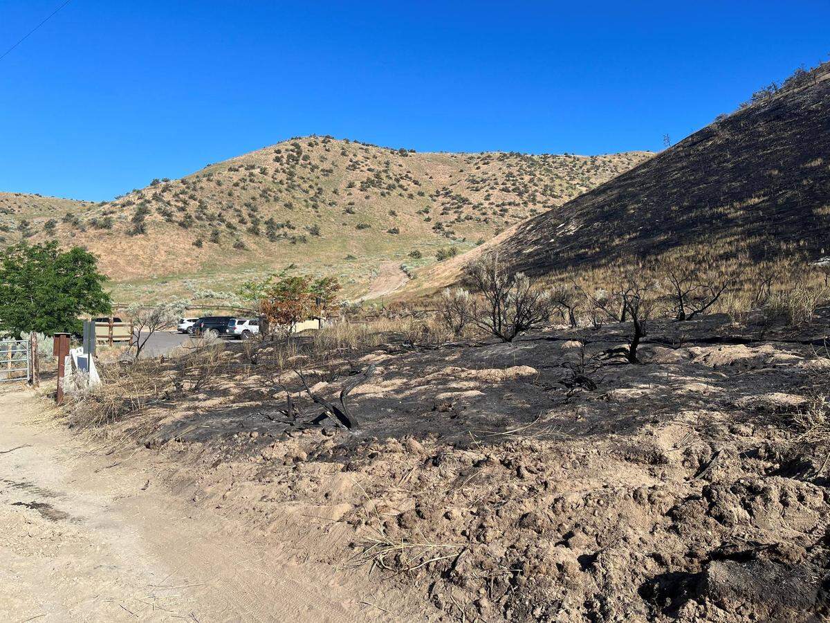 A man suspected of starting a fire in the Boise Foothills was arrested and charged with arson. The fire burned a popular hiking area near Polecat Gulch.