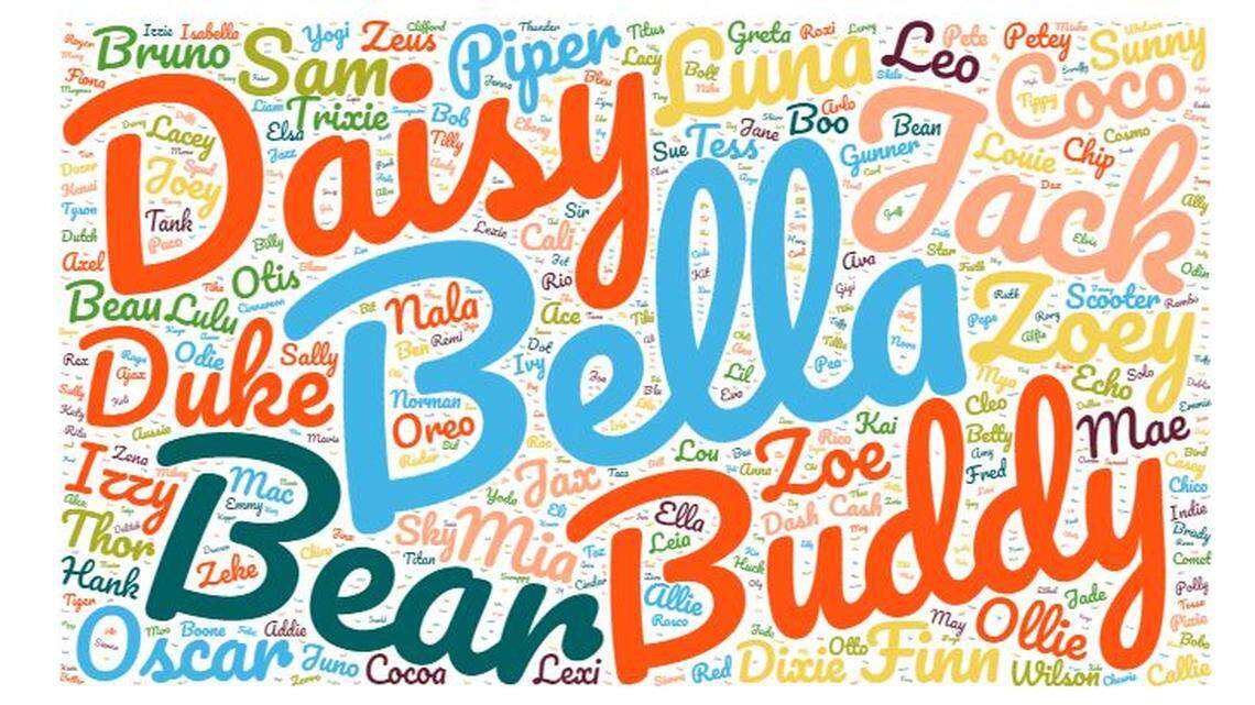 Steve Pawstin, Mr. Shrimp and Sir Wesley Wigglebottom? Boise, your dog names are A+