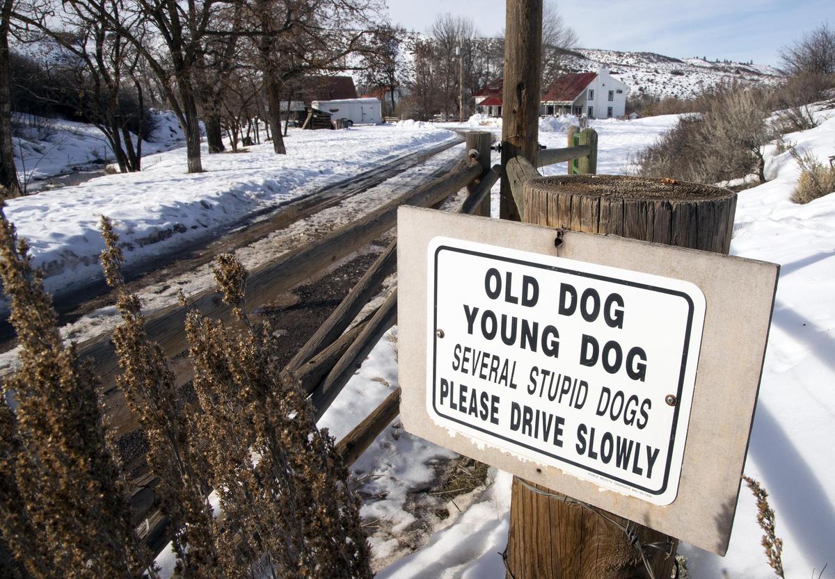 Laurie Warren, 55, started mushing about seven years ago when her two sons took an interest in dog sledding. The Warrens breed Alaskan huskies now at their ranch near Council and race with up to 16-dog teams.