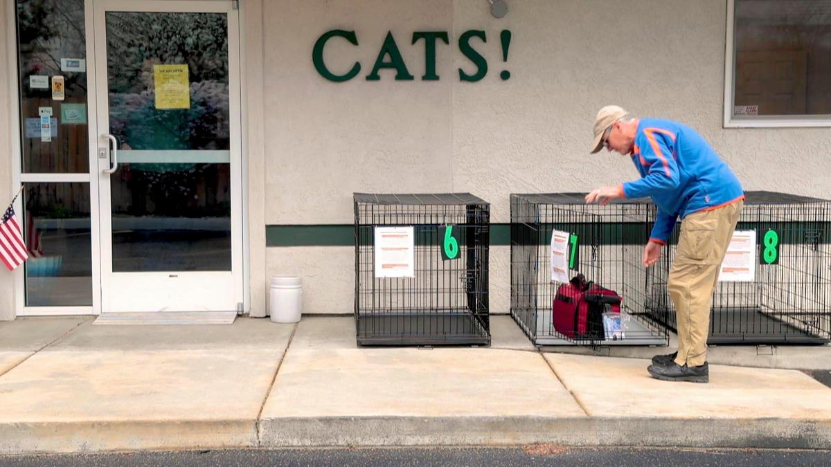 Ron Hodge and his wife Karen, who stayed in the car, drop off their cat Buddy in a kennel outside the door of Broadway Veterinary Hospital. Staff retrieved Buddy seconds later after Hodge closed the kennel and walked away. The new social distancing process helps protect staff and patrons from spreading the coronavirus.