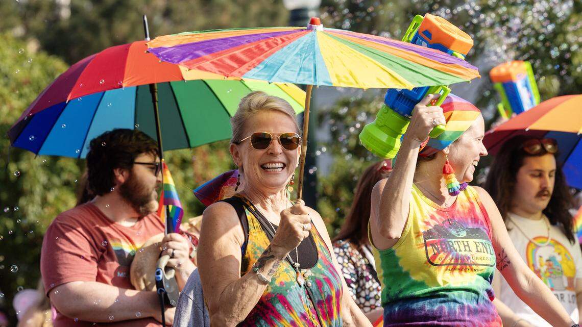 Should Idaho ask Supreme Court to overturn gay marriage? This legislator says yes