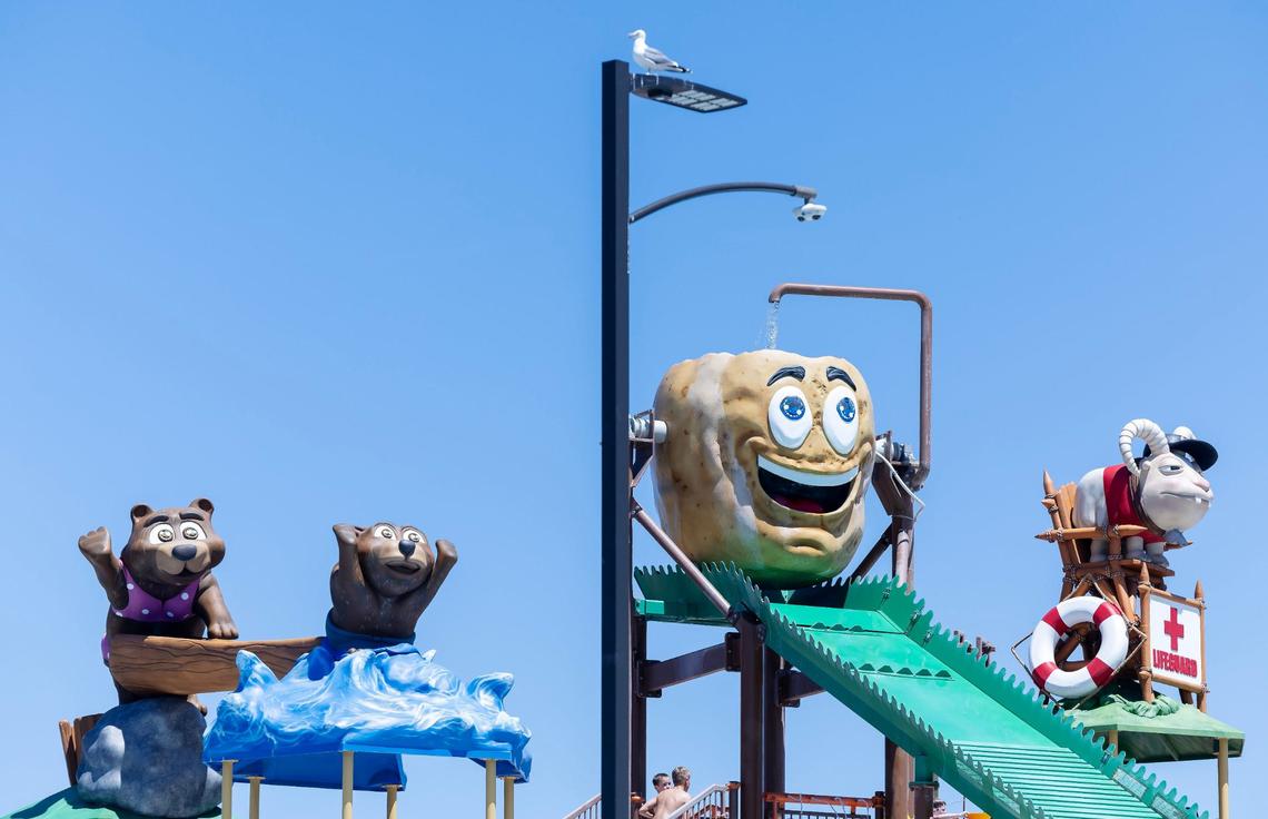 A seagull perches on top of a cameras from Ellis Aquatic Vigilance System. The system uses artificial intelligence to help identify dangers in the park. The camera can see under water.