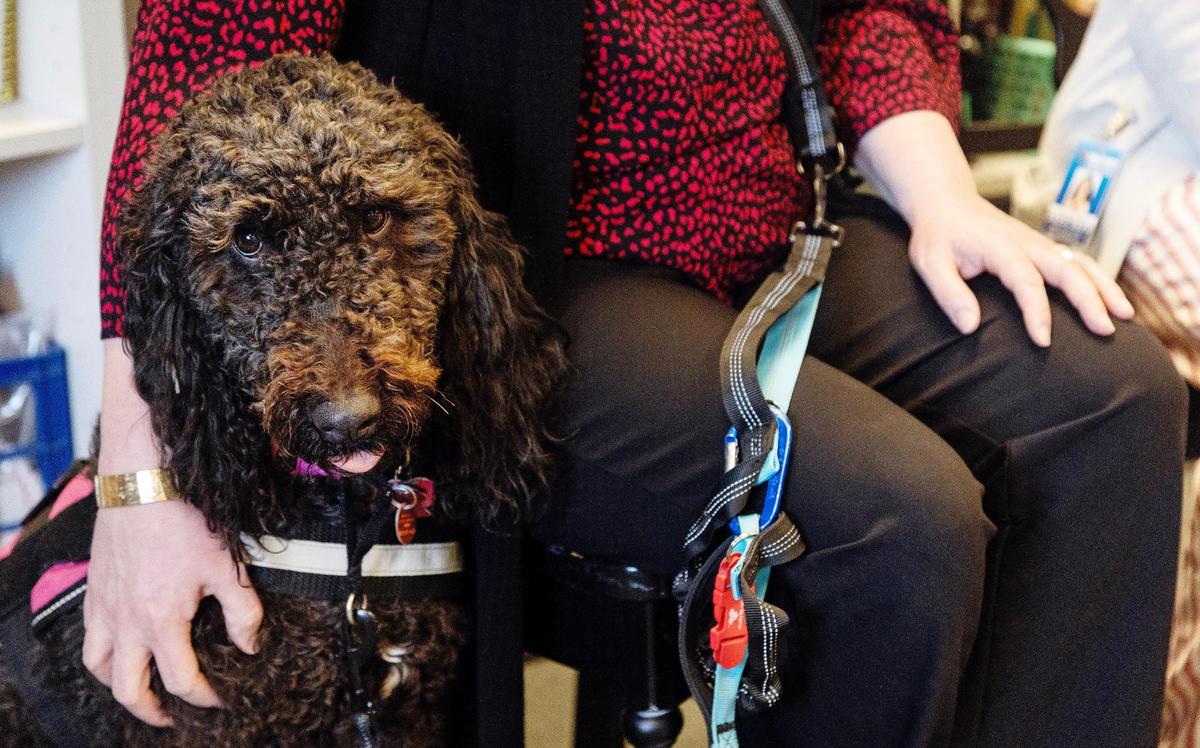 Principal Shawn Tegethoff sits with Coco, one of two school dogs at Franklin D. Roosevelt Elementary school in Nampa. Instructional coach Anneke Wolfe and Tegethoff use the dogs as a tool to help students regulate their emotions.