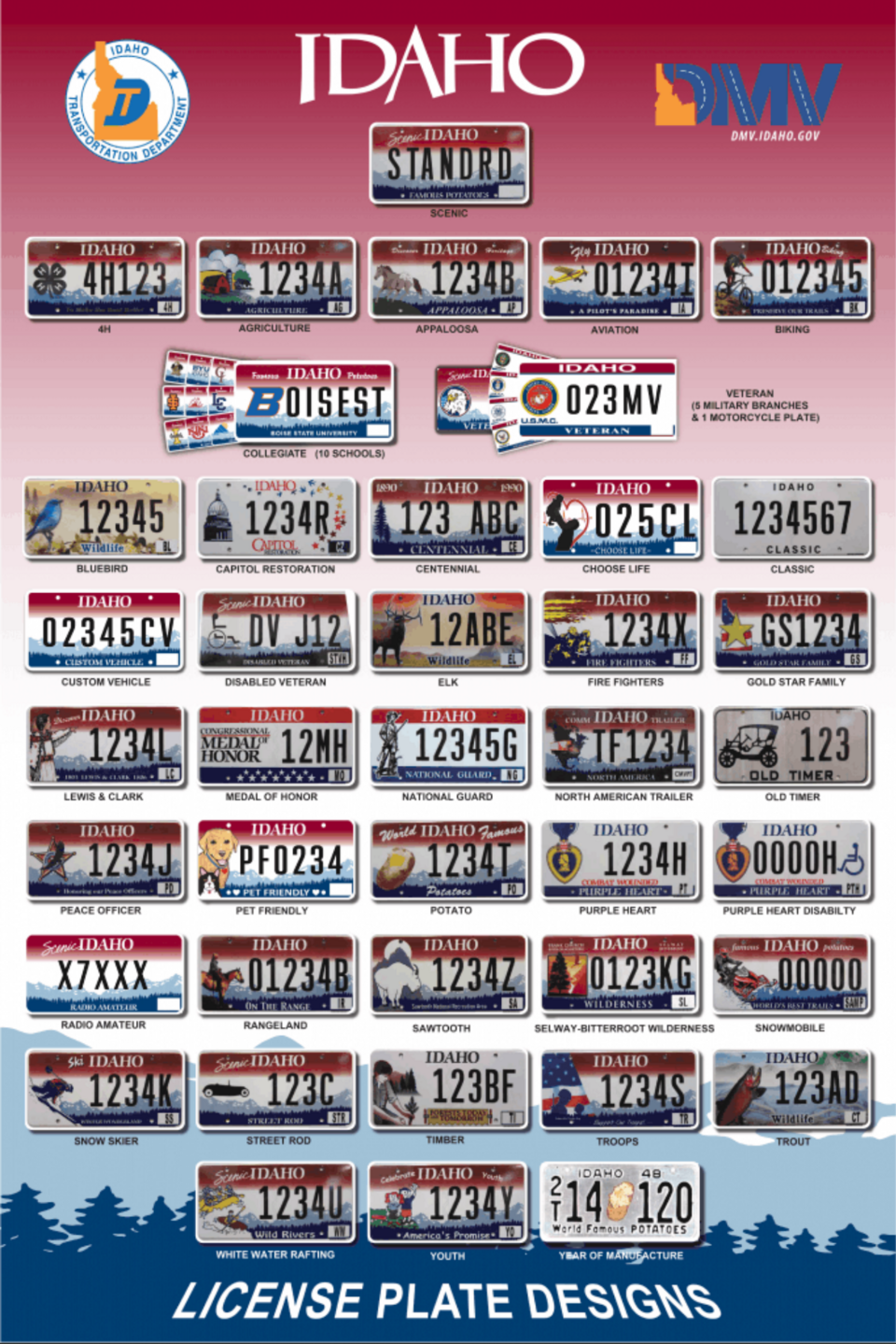 License Plate Interpretation