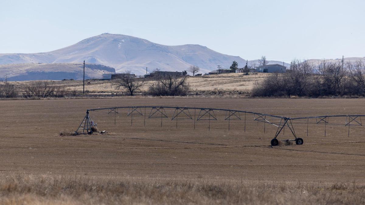 Views of the Owyhee Mountains can be seen from the site where Carter Fulcher plans to build the Birmingham Estates.