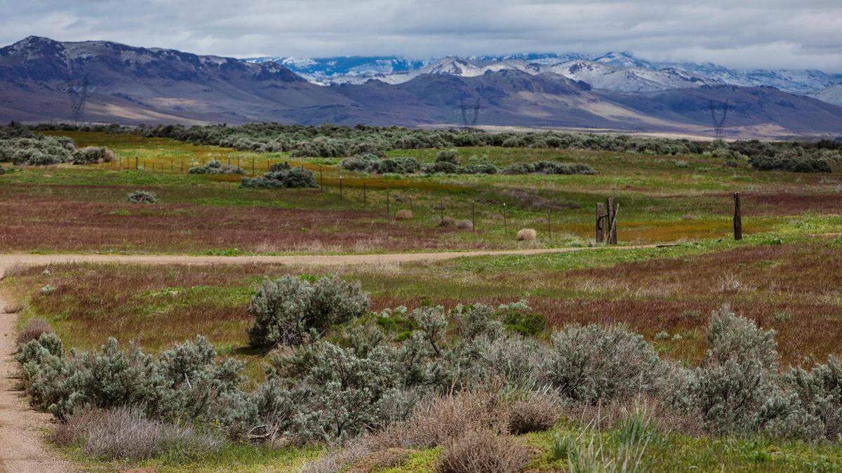 BLM land in Elmore County, Idaho is shown in this 2022 file photo.