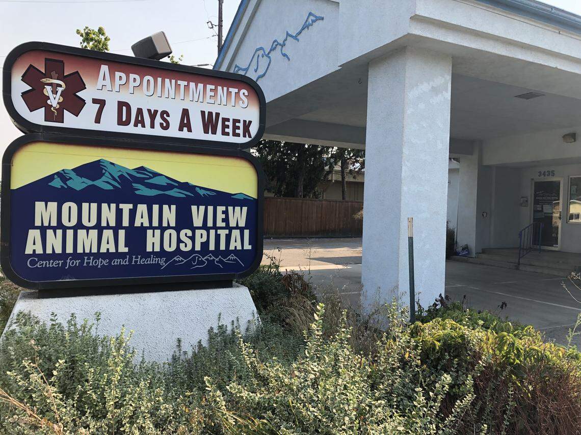 Mountain View Animal Hospital in Boise has closed, according to a sign on the clinic door.