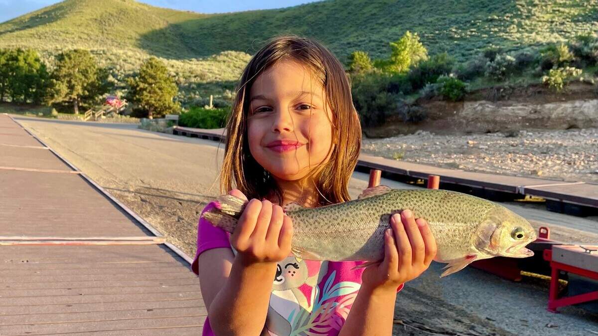 Idaho Fish and Game offers online tools that can help anglers find useful information — like which fisheries have recently received loads of hatchery rainbow trout! 