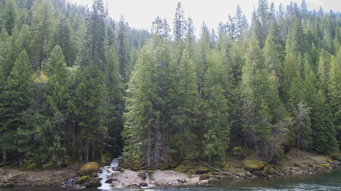 Forest Service restructure brings potential benefits, pitfalls for Idaho