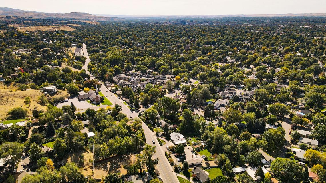 Boise Forester Michael Andrews has been monitoring the health of the city’s tree canopy, as summers become hotter and drought impacts the region.